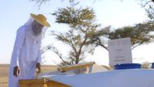 Imam Turki Royal Reserve Opens Applications for Talh Beekeeping Permits