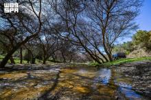 Recent Rains Enhance Al-Baha's Natural Scenery Ahead of Summer Season