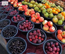 Aseer's Plum Harvest Drives Agricultural Tourism, Supports Local Economy