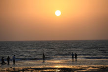 Red Sea Summer: A Season of Diverse Tourism Opportunities