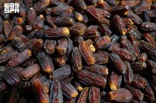 Madinah Region Ranks Third in Saudi Date Production at 344,000 Tons Annually