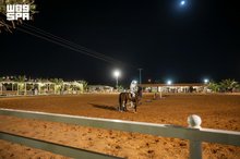 Horse Stables in Al-Jouf: Showcasing the Heritage of Horsemanship, Rural Hospitality