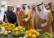 Umluj Governor Inaugurates Fifth Mango Festival