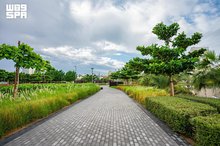 Jeddah's Parks Emerge as Premier Summer Destinations 
