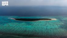 Al-Lith’s 'Sisters Islands' Boost Marine Biodiversity, Unlock Marine Tourism Potential