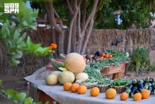 AlUla Summer Fruit Season Boosts Local Economy, Empowers Farmers