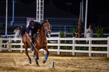 Taif Horse Stables Offer Visitors Authentic Equestrian Experience