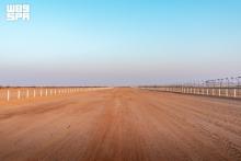 Saudi Camel Sports Enhances Taif Venue for 2026 Crown Prince Camel Festival
