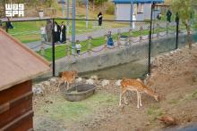 Al-Shallal Park Draws Al-Baha Summer Visitors with Natural, Recreational Facilities