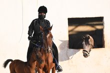 Equestrian Sport Gains Momentum Among Girls in Tabuk Region