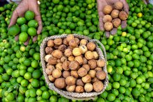Al-Ahsa Limes Expand Presence in Local and Gulf Markets