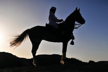 Najran: Where Cultural Heritage Meets Creative Photography