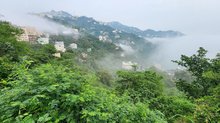 Jazan Rains Transform Mountains into Green Landscapes