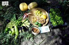 Al-Ahsa Oasis Brings Summer Produce Baskets to Markets