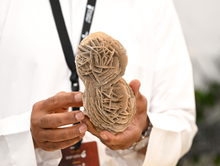 Sand Rose: Artistic Masterpiece Deep in the Desert