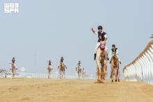 Four Saudi Riders Win Cups at Crown Prince Camel Festival
