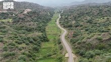 Rainfall Showcases Jazan's Natural Beauty, Diverse Terrain