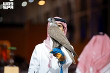 Two Mongolian Falcons Fetch SAR550,000 at International Saudi Falcons and Hunting Exhibition