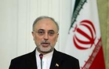 Salehi Warns Against ˈIllusionˈ Of Imminent Collapse Of Assad Govˈt 