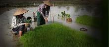 World Leaders Sign New Compact To Eliminate Malnutrition
