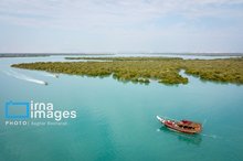 Qeshm’s Soheili village named among world’s best tourism villages