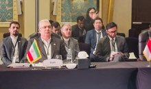 Iran calls for deeper economic cooperation within D-8 bloc