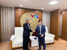 Iran envoy, Vietnam TV chief discuss media cooperation