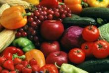 Some 27m Tons Rise In Horticultural Products Output During 9th, 10th Govts