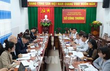 An overview of the working session (Photo: VNA)