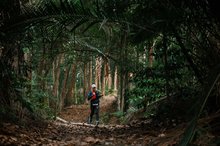 --fotoBERNAMA