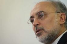  Salehi says Iran optimistic about settlement of nuclear dispute  