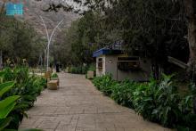 Prince Mashari Park Anchors Scenic Tourist Route in Bani Hassan
