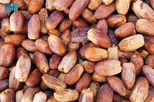 Madinah Date Market Offers Promising Opportunities for Young Entrepreneurs
