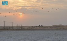 Natural Salt Lakes of Al-Awshaziyah: A Historic Economic, Tourist Hub in Unaizah