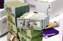 A bank teller counts the dollar at a transaction office in Hà Nội. The rapid cooling of the exchange rate creates conditions for the SBV to implement a looser monetary policy, in order to support liquidity for the banking system and the economy. (Photo: baodautu.vn)