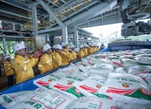 Workers load fertiliser onto a vessel for export by Petrovietnam Ca Mau Fertiliser Corporation (PVCFC). (Photo: Petrovietnam)