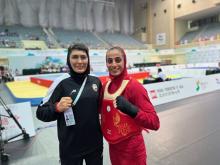 Iranian athletes 