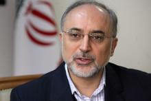 Bushehr Nuclear Power Plant halts activities for 2 months for refueling