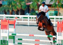 Horse Stables on Jeddah's Beaches: A Tourist Destination Combining Sports and Entertainment