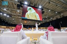 Record-Breaking Falcon Sold for SAR151,000 at IFBA 2025