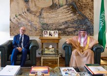 Vice Foreign Minister Receives UK Ambassador