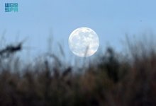Harvest Moon Graces Aseer’s Sky