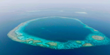 Blue Holes of Red Sea: A Rare Marine Phenomenon, High-Value Ecological Habitat