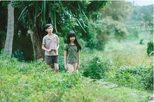 The screening of the acclaimed film "Yellow Flowers on the Green Grass" brought viewers to the poetic Vietnamese countryside of the 1980s. (Photo: VNA)