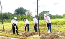 Delegates plant trees at Chu Van An Park in Thanh Tri district, Hanoi (Photo: VNA)