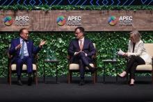 Prime Minister Anwar Ibrahim (left) speaks at the APEC CEO Summit in a session titled “Opportunities and Challenges in the AI Revolution” here on Thursday