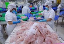 Bright prospect for agro-forestry-fishery exports to Japan