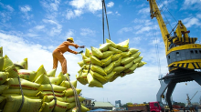 Rice is Vietnam's key export product to the Philippines (Photo: vneconomy.vn)