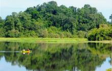 Cat Tien national park officially joins IUCN green list