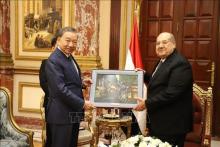 Communist Party of Vietnam delegation visits Egypt